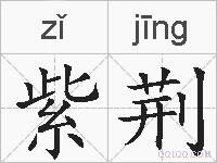 紫荆的拼音