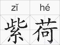 紫荷的拼音