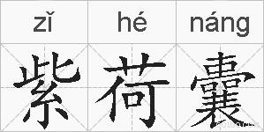 紫荷囊的拼音
