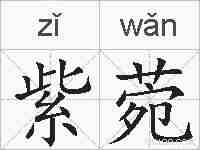 紫菀的拼音