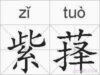 紫萚的拼音