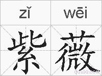 紫薇的拼音