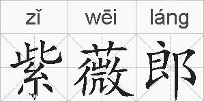 紫薇郎的拼音