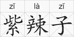紫辣子的拼音