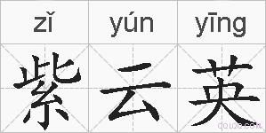 紫云英的拼音