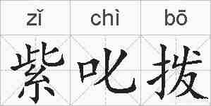 紫叱拨的拼音