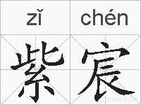 紫宸的拼音