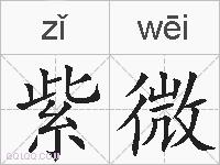 紫微的拼音