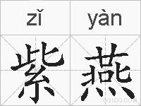 紫燕的拼音
