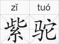 紫驼的拼音