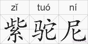 紫驼尼的拼音