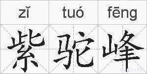 紫驼峰的拼音