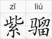 紫骝的拼音