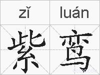 紫鸾的拼音