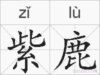 紫鹿的拼音