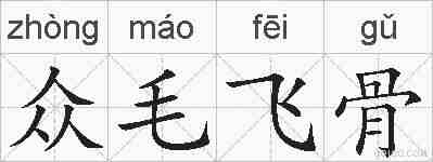 众毛飞骨的拼音