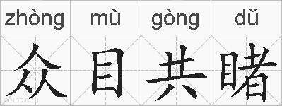 众目共睹的拼音