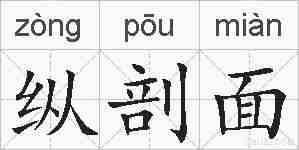 纵剖面的拼音