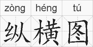 纵横图的拼音