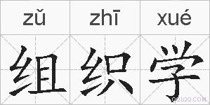 组织学的拼音
