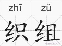 织组的拼音