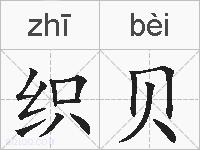 织贝的拼音