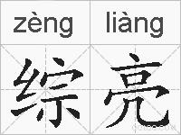 综亮的拼音