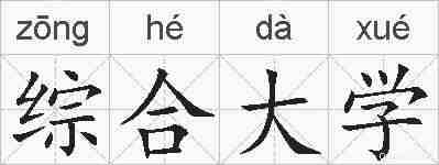 综合大学的拼音