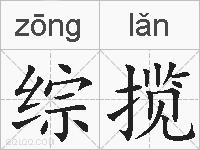 综揽的拼音