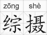 综摄的拼音