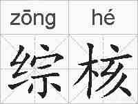 综核的拼音