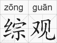 综观的拼音
