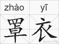 罩衣的拼音