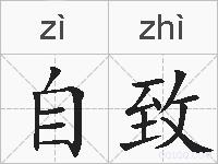 自致的拼音