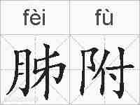 胏附的拼音