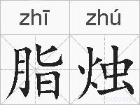 脂烛的拼音