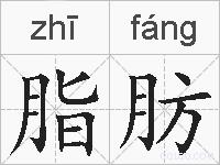 脂肪的拼音