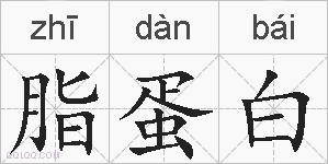 脂蛋白的拼音