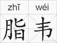 脂韦的拼音