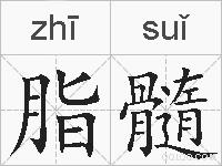 脂髓的拼音