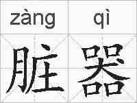 脏器的拼音