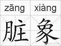 脏象的拼音
