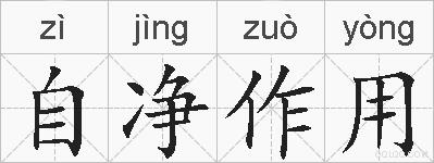 自净作用的拼音