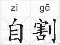 自割的拼音