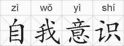 自我意识的拼音