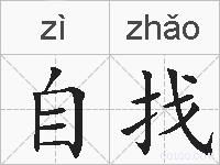 自找的拼音