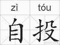 自投的拼音