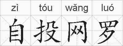 自投网罗的拼音