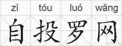 自投罗网的拼音