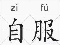 自服的拼音